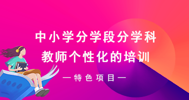 中小学分学段分学科教师个性化的培训
